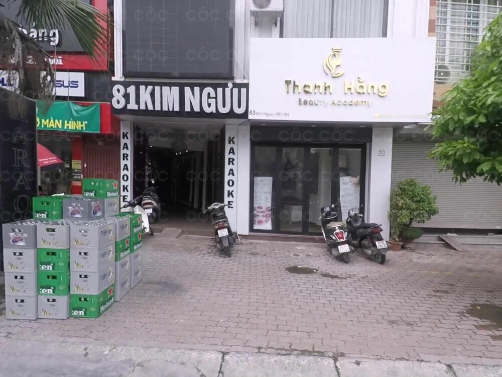 81 Kim Ngưu - Tìm Hiểu Tính Cách và Vận Mệnh Của Người Sinh Năm 1981